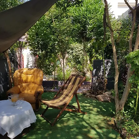 Nature Et Relax Triple Et Parties Communes Salle De Bain Cuisine Jardin Barbecue Convivialite